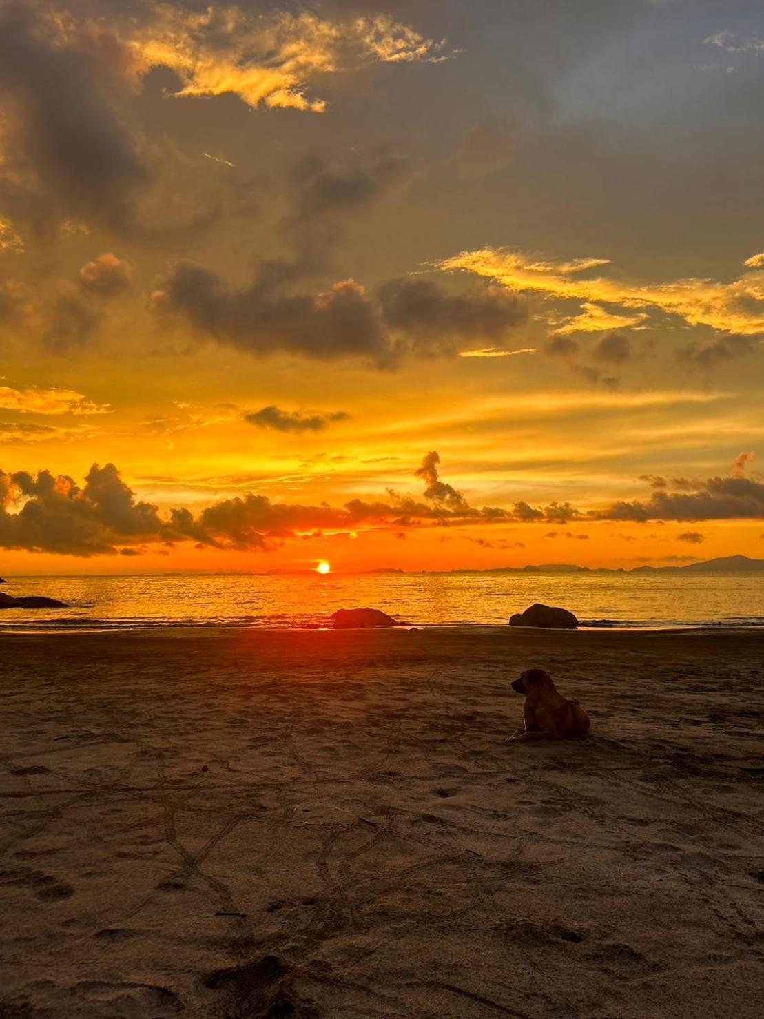 Lae Tawan Bungalow Koh Chang Ranong Dış mekan fotoğraf